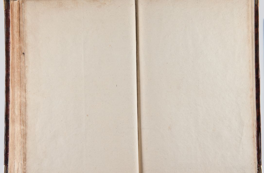 Zdjęcie nr 217 dla obiektu archiwalnego: Acta visitationum decanatuum: Wielicensis ex anno 1703, Novi Montis ex anno 1704 et Scavinensis ex anno 1704 sub generali administratione R.D. Casimiri a Łubna Łubiński, episcoi Heracleensis, suffraganei, canonici sede vacante episcopatus Cracoviensis et ducatus Severiensis, a R.D. Remigio Suszycki IUD, archidiacono Cracoviensi, custode Kielcensi, scholastico Lanciciensi, SRM secretario a.D. 1703 et 1704 expedita