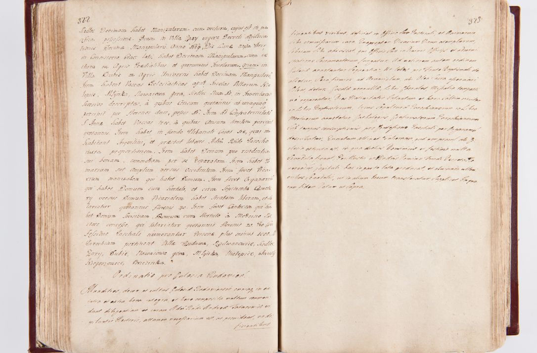 Zdjęcie nr 193 dla obiektu archiwalnego: Visitatio archidiaconatus Cracoviensis (Decanatus: Skalensis - 1727; Vitoviensis - 1727; Prossoviensis - 1728; Novi Montis - 1728; Scawinensis - 1729; Xsiążnensis - 1731; Woynicensis - 1731; Zatoriensis - 1729; Lipnicensis - 1730; Dobczycensis - 1730; Andreoviensis - 1731; Żyvecensis - 1732; Oswiemensis - 1732; Wielicensis - 1741; postea sequntur inventaria ecclesiarum decanatus Dobczycensis, Woynicensis, Andreoviensis) per R.D. Michaelem de Magna Kunice Kunicki, episcopum Arsiacensem, suffraganeum et archidiaconum Cracoviensem annis 1727 - 1741 peracta