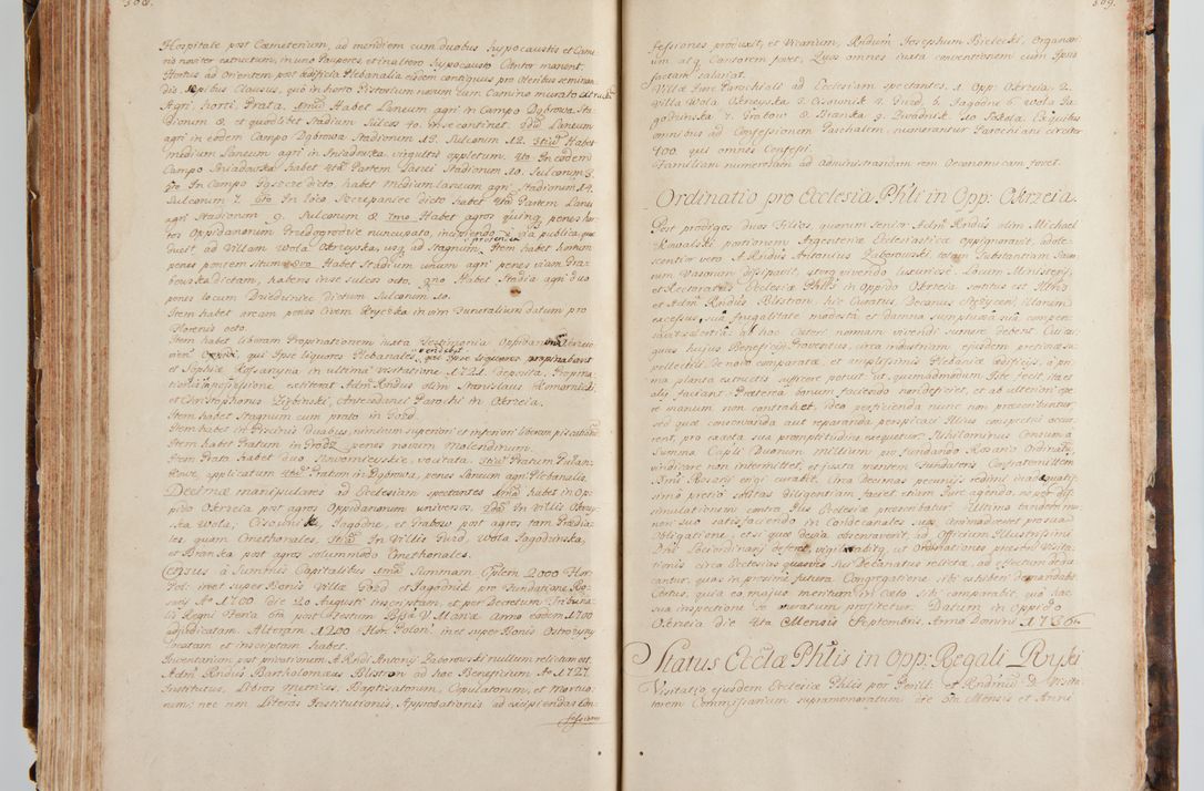 Zdjęcie nr 173 dla obiektu archiwalnego: Status ecclesiarum ac illarum rectorum sub decanatu Ecclesiae Collegiatae Kielcensis, alias in tribus decanatibus Radomiensi, Zwolenensi et Stężycensi consistentium, per visitatorem generalem ex commissione Cel. Principis R.D. Joannis Alexandri in Lipie Lipski, episcopi Cracoviensis, ducis Severiae lustratus er delineatus a.D. 1736