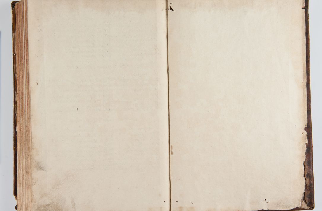 Zdjęcie nr 193 dla obiektu archiwalnego: Status ecclesiarum ac illarum rectorum sub decanatu Ecclesiae Collegiatae Kielcensis, alias in tribus decanatibus Radomiensi, Zwolenensi et Stężycensi consistentium, per visitatorem generalem ex commissione Cel. Principis R.D. Joannis Alexandri in Lipie Lipski, episcopi Cracoviensis, ducis Severiae lustratus er delineatus a.D. 1736