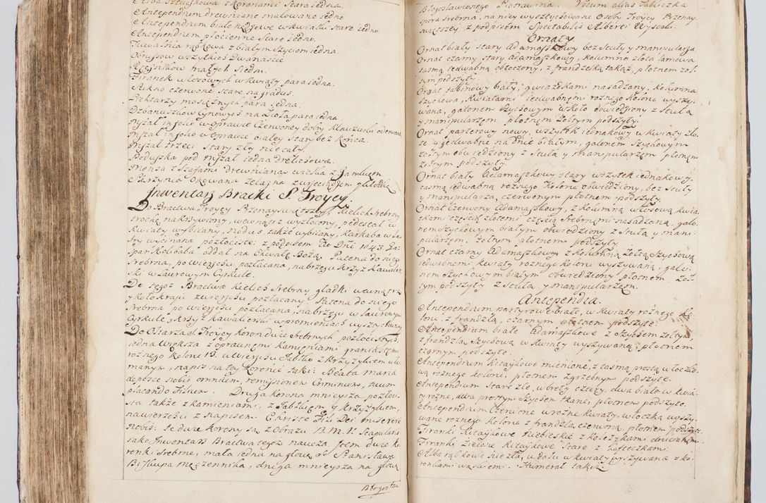 Zdjęcie nr 296 dla obiektu archiwalnego: Visitatio interna et externa ecclesiarum praeposituralium, parachialium, hospitalium et aliorum beneficiorum in decanatibus Bodzantinensi ac Kunoviensi consistentium per me Venceslaum Hieronymum de Bogusławice Sierakowski, pro tunc episcopum Cestrensem, coadiutorem Livoniae et Piltinensis, custodem Coronarum Regni , canonicum Cracoviensem uti tanquam praepositum Kielcensem, praeviis litteris innotescentialibus via cursoria per R.D. Decanos directis anno 1738 die 29 Julii inchoata et successivo anno 1739 die 14 memsis Junii terminata et peracta