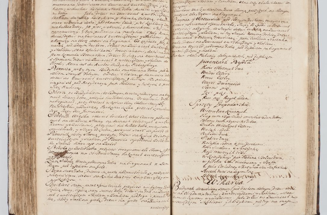 Zdjęcie nr 265 dla obiektu archiwalnego: Visitatio interna et externa ecclesiarum praeposituralium, parachialium, hospitalium et aliorum beneficiorum in decanatibus Bodzantinensi ac Kunoviensi consistentium per me Venceslaum Hieronymum de Bogusławice Sierakowski, pro tunc episcopum Cestrensem, coadiutorem Livoniae et Piltinensis, custodem Coronarum Regni , canonicum Cracoviensem uti tanquam praepositum Kielcensem, praeviis litteris innotescentialibus via cursoria per R.D. Decanos directis anno 1738 die 29 Julii inchoata et successivo anno 1739 die 14 memsis Junii terminata et peracta