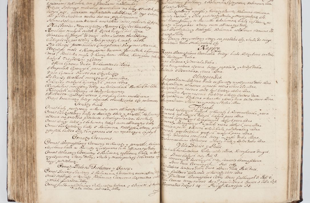 Zdjęcie nr 241 dla obiektu archiwalnego: Visitatio interna et externa ecclesiarum praeposituralium, parachialium, hospitalium et aliorum beneficiorum in decanatibus Bodzantinensi ac Kunoviensi consistentium per me Venceslaum Hieronymum de Bogusławice Sierakowski, pro tunc episcopum Cestrensem, coadiutorem Livoniae et Piltinensis, custodem Coronarum Regni , canonicum Cracoviensem uti tanquam praepositum Kielcensem, praeviis litteris innotescentialibus via cursoria per R.D. Decanos directis anno 1738 die 29 Julii inchoata et successivo anno 1739 die 14 memsis Junii terminata et peracta