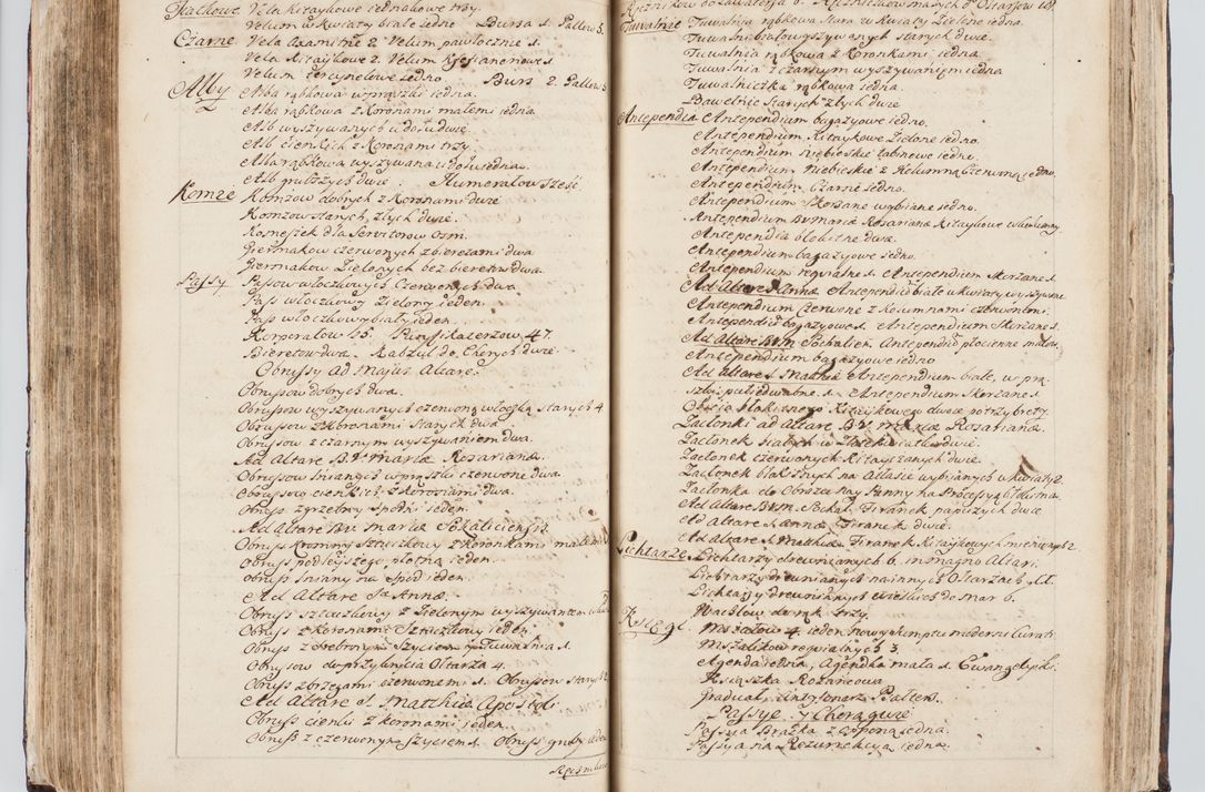 Zdjęcie nr 209 dla obiektu archiwalnego: Visitatio interna et externa ecclesiarum praeposituralium, parachialium, hospitalium et aliorum beneficiorum in decanatibus Bodzantinensi ac Kunoviensi consistentium per me Venceslaum Hieronymum de Bogusławice Sierakowski, pro tunc episcopum Cestrensem, coadiutorem Livoniae et Piltinensis, custodem Coronarum Regni , canonicum Cracoviensem uti tanquam praepositum Kielcensem, praeviis litteris innotescentialibus via cursoria per R.D. Decanos directis anno 1738 die 29 Julii inchoata et successivo anno 1739 die 14 memsis Junii terminata et peracta