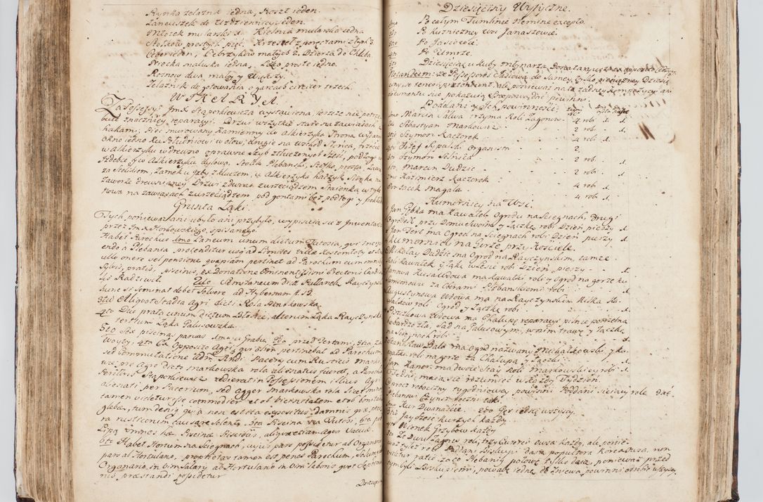 Zdjęcie nr 198 dla obiektu archiwalnego: Visitatio interna et externa ecclesiarum praeposituralium, parachialium, hospitalium et aliorum beneficiorum in decanatibus Bodzantinensi ac Kunoviensi consistentium per me Venceslaum Hieronymum de Bogusławice Sierakowski, pro tunc episcopum Cestrensem, coadiutorem Livoniae et Piltinensis, custodem Coronarum Regni , canonicum Cracoviensem uti tanquam praepositum Kielcensem, praeviis litteris innotescentialibus via cursoria per R.D. Decanos directis anno 1738 die 29 Julii inchoata et successivo anno 1739 die 14 memsis Junii terminata et peracta