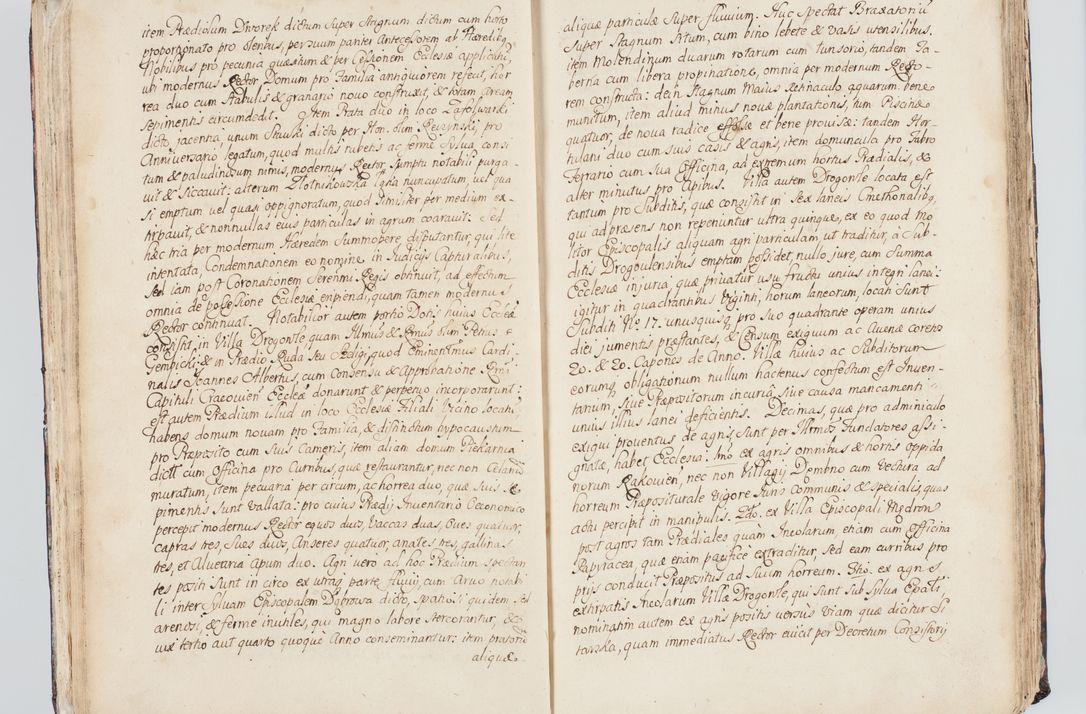 Zdjęcie nr 50 dla obiektu archiwalnego: Visitatio interna et externa ecclesiarum praeposituralium, parachialium, hospitalium et aliorum beneficiorum in decanatibus Bodzantinensi ac Kunoviensi consistentium per me Venceslaum Hieronymum de Bogusławice Sierakowski, pro tunc episcopum Cestrensem, coadiutorem Livoniae et Piltinensis, custodem Coronarum Regni , canonicum Cracoviensem uti tanquam praepositum Kielcensem, praeviis litteris innotescentialibus via cursoria per R.D. Decanos directis anno 1738 die 29 Julii inchoata et successivo anno 1739 die 14 memsis Junii terminata et peracta