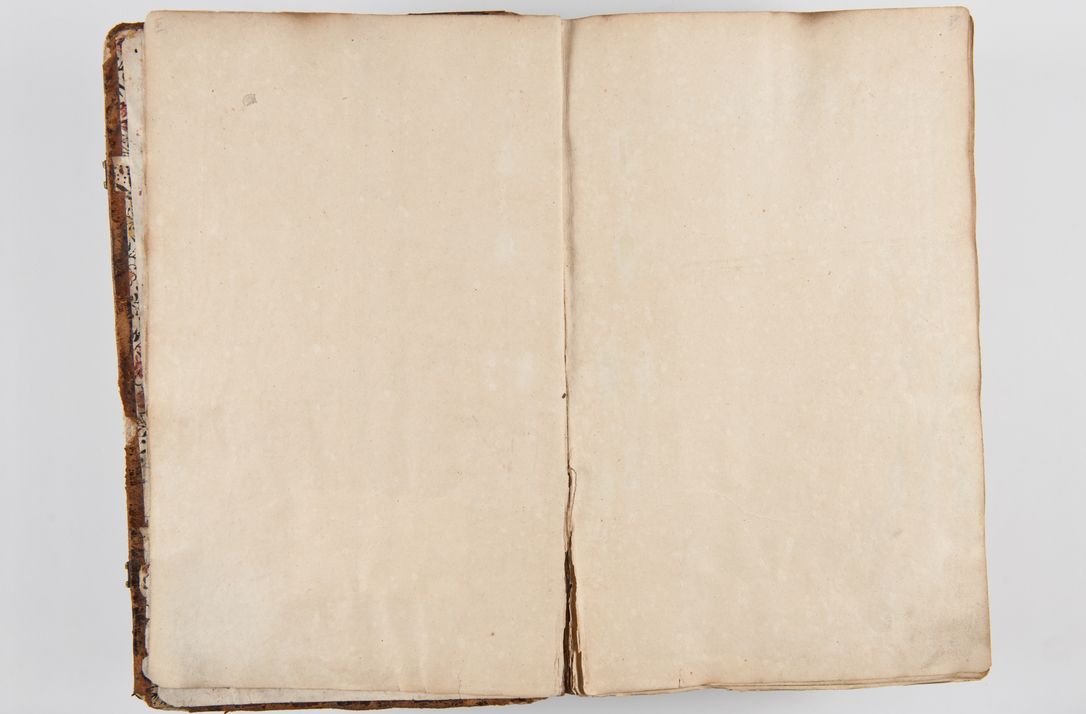 Zdjęcie nr 11 dla obiektu archiwalnego: Acta visitationis ecclesiarum parachialium tum capellarum - oratorium, hospitalium, confraternitatum ac aliorum piorum locorum intra et extra civitatem Cracoviensem consistentium, vigore litterarum specialis commissionis Cel. Principis et. R.D. Andrea Stanislai Kostka in Załuskie Załuski episcopi Cracoviensis ducis Severiensis, per Hyacinthum Łopacki canonicum et archipraesbyterum Cracoviensem, canonicum et archipraesbyterum Cracoviensem, canonicum Sandomieriensem, visitatorem a.D. 1748 et sequentii conscripta