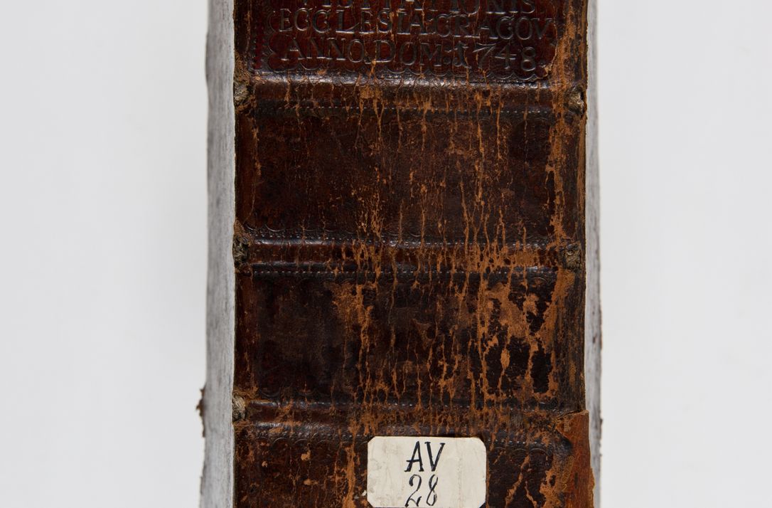 Zdjęcie nr 6 dla obiektu archiwalnego: Acta visitationis ecclesiarum parachialium tum capellarum - oratorium, hospitalium, confraternitatum ac aliorum piorum locorum intra et extra civitatem Cracoviensem consistentium, vigore litterarum specialis commissionis Cel. Principis et. R.D. Andrea Stanislai Kostka in Załuskie Załuski episcopi Cracoviensis ducis Severiensis, per Hyacinthum Łopacki canonicum et archipraesbyterum Cracoviensem, canonicum et archipraesbyterum Cracoviensem, canonicum Sandomieriensem, visitatorem a.D. 1748 et sequentii conscripta