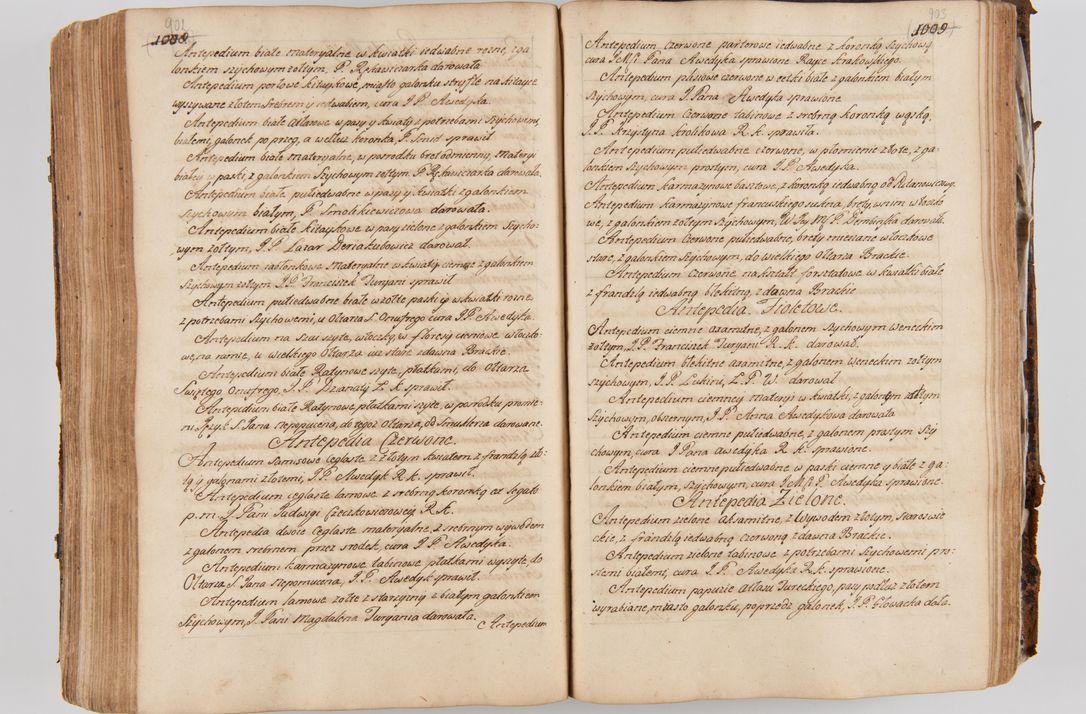 Zdjęcie nr 494 dla obiektu archiwalnego: Acta visitationis ecclesiarum parachialium tum capellarum - oratorium, hospitalium, confraternitatum ac aliorum piorum locorum intra et extra civitatem Cracoviensem consistentium, vigore litterarum specialis commissionis Cel. Principis et. R.D. Andrea Stanislai Kostka in Załuskie Załuski episcopi Cracoviensis ducis Severiensis, per Hyacinthum Łopacki canonicum et archipraesbyterum Cracoviensem, canonicum et archipraesbyterum Cracoviensem, canonicum Sandomieriensem, visitatorem a.D. 1748 et sequentii conscripta