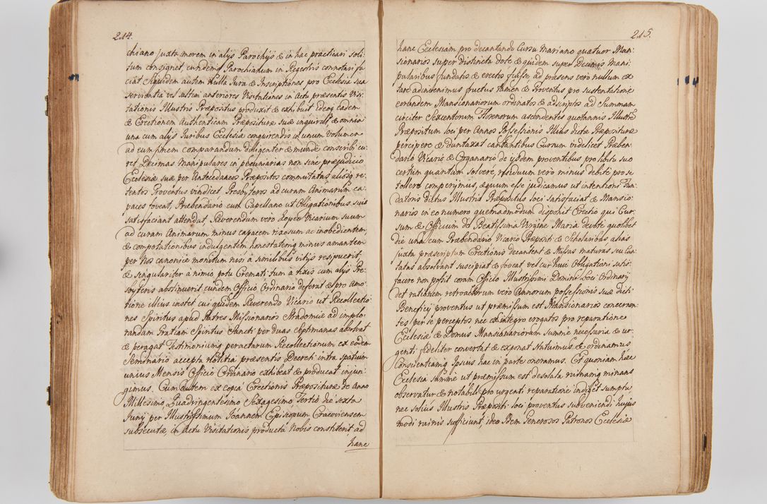 Zdjęcie nr 130 dla obiektu archiwalnego: Acta visitationis ecclesiarum parachialium tum capellarum - oratorium, hospitalium, confraternitatum ac aliorum piorum locorum intra et extra civitatem Cracoviensem consistentium, vigore litterarum specialis commissionis Cel. Principis et. R.D. Andrea Stanislai Kostka in Załuskie Załuski episcopi Cracoviensis ducis Severiensis, per Hyacinthum Łopacki canonicum et archipraesbyterum Cracoviensem, canonicum et archipraesbyterum Cracoviensem, canonicum Sandomieriensem, visitatorem a.D. 1748 et sequentii conscripta