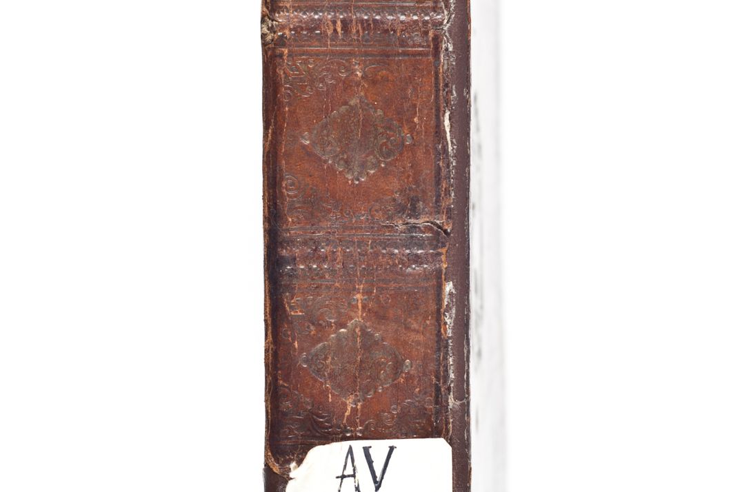 Zdjęcie nr 6 dla obiektu archiwalnego: Visitatio ecclesiarum parachialium, praebendarum, capellarum, hospitalium, confraternitatum, nec non beneficiorum in decanatu Scalensi Kostka comitis in Załuskie Załuski, episcopi Cracoviensis, ducis Severiae per me Andream Nehrebecki S.Th.D., Insignis Collegiatae Sandomieriensis canonicum et scholasticum Scarbimieiensem, delegatum et deputatum extraordinarium visitatorem a.D. 1748 die 23 mensis Aprilis inchoata, ac successivo anno eodem 1748 diec 24 Octobris finita