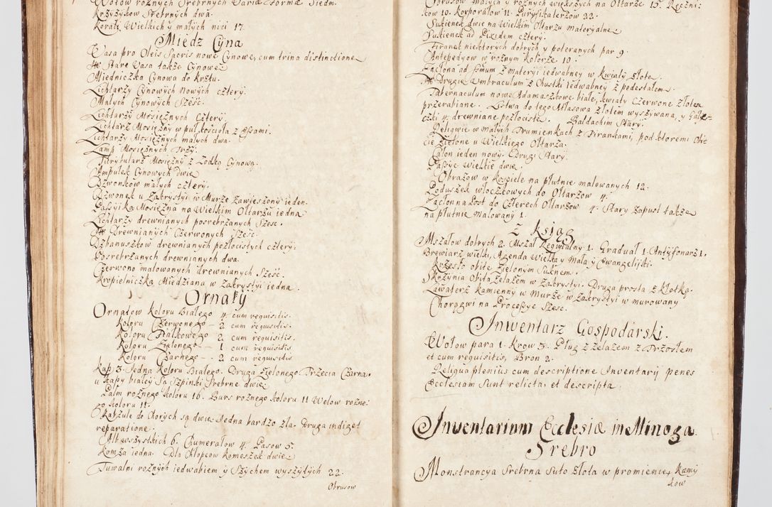 Zdjęcie nr 176 dla obiektu archiwalnego: Visitatio ecclesiarum parachialium, praebendarum, capellarum, hospitalium, confraternitatum, nec non beneficiorum in decanatu Scalensi Kostka comitis in Załuskie Załuski, episcopi Cracoviensis, ducis Severiae per me Andream Nehrebecki S.Th.D., Insignis Collegiatae Sandomieriensis canonicum et scholasticum Scarbimieiensem, delegatum et deputatum extraordinarium visitatorem a.D. 1748 die 23 mensis Aprilis inchoata, ac successivo anno eodem 1748 diec 24 Octobris finita