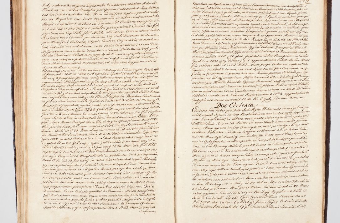 Zdjęcie nr 171 dla obiektu archiwalnego: Visitatio ecclesiarum parachialium, praebendarum, capellarum, hospitalium, confraternitatum, nec non beneficiorum in decanatu Scalensi Kostka comitis in Załuskie Załuski, episcopi Cracoviensis, ducis Severiae per me Andream Nehrebecki S.Th.D., Insignis Collegiatae Sandomieriensis canonicum et scholasticum Scarbimieiensem, delegatum et deputatum extraordinarium visitatorem a.D. 1748 die 23 mensis Aprilis inchoata, ac successivo anno eodem 1748 diec 24 Octobris finita