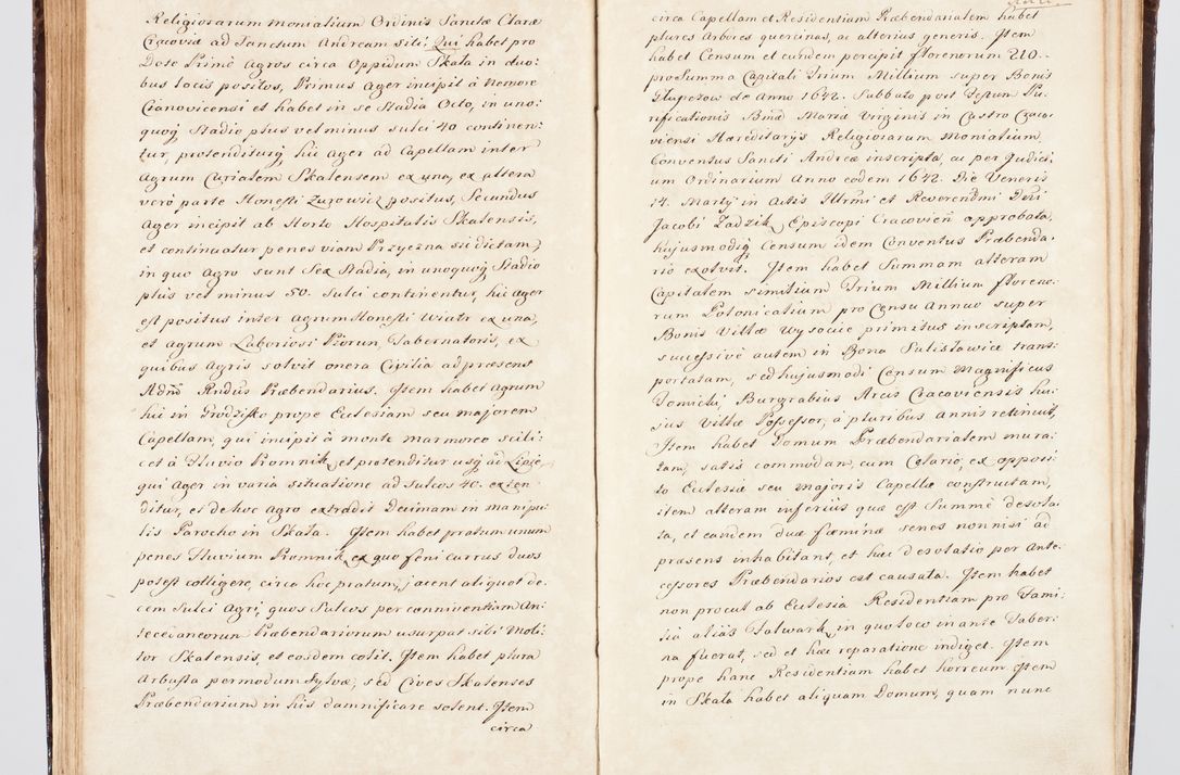 Zdjęcie nr 133 dla obiektu archiwalnego: Visitatio ecclesiarum parachialium, praebendarum, capellarum, hospitalium, confraternitatum, nec non beneficiorum in decanatu Scalensi Kostka comitis in Załuskie Załuski, episcopi Cracoviensis, ducis Severiae per me Andream Nehrebecki S.Th.D., Insignis Collegiatae Sandomieriensis canonicum et scholasticum Scarbimieiensem, delegatum et deputatum extraordinarium visitatorem a.D. 1748 die 23 mensis Aprilis inchoata, ac successivo anno eodem 1748 diec 24 Octobris finita