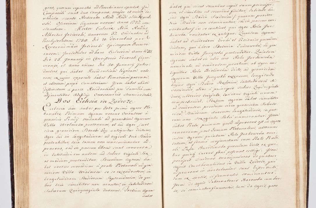 Zdjęcie nr 111 dla obiektu archiwalnego: Visitatio ecclesiarum parachialium, praebendarum, capellarum, hospitalium, confraternitatum, nec non beneficiorum in decanatu Scalensi Kostka comitis in Załuskie Załuski, episcopi Cracoviensis, ducis Severiae per me Andream Nehrebecki S.Th.D., Insignis Collegiatae Sandomieriensis canonicum et scholasticum Scarbimieiensem, delegatum et deputatum extraordinarium visitatorem a.D. 1748 die 23 mensis Aprilis inchoata, ac successivo anno eodem 1748 diec 24 Octobris finita