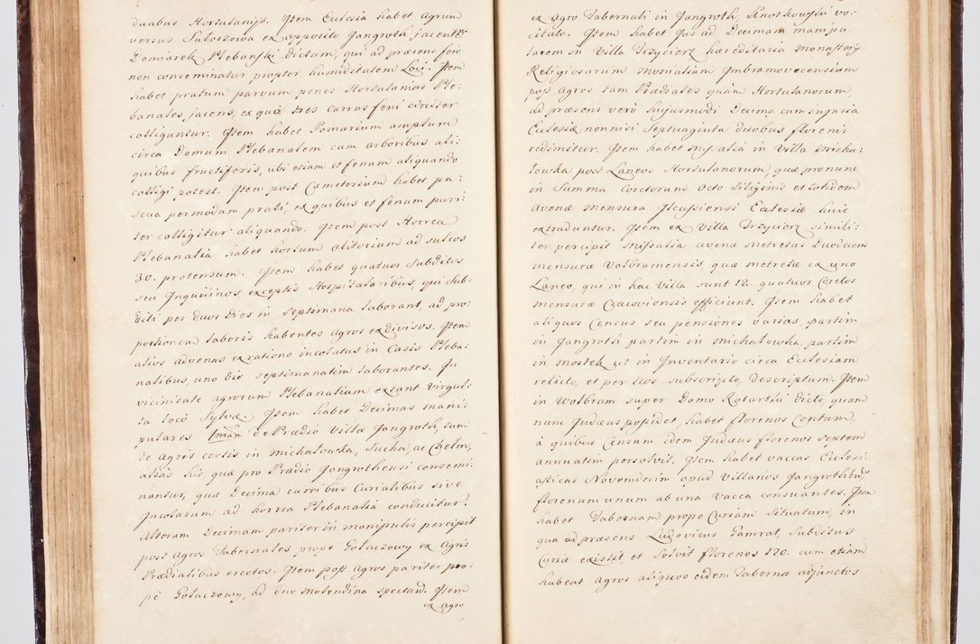 Zdjęcie nr 105 dla obiektu archiwalnego: Visitatio ecclesiarum parachialium, praebendarum, capellarum, hospitalium, confraternitatum, nec non beneficiorum in decanatu Scalensi Kostka comitis in Załuskie Załuski, episcopi Cracoviensis, ducis Severiae per me Andream Nehrebecki S.Th.D., Insignis Collegiatae Sandomieriensis canonicum et scholasticum Scarbimieiensem, delegatum et deputatum extraordinarium visitatorem a.D. 1748 die 23 mensis Aprilis inchoata, ac successivo anno eodem 1748 diec 24 Octobris finita