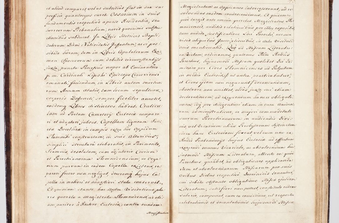 Zdjęcie nr 62 dla obiektu archiwalnego: Visitatio ecclesiarum parachialium, praebendarum, capellarum, hospitalium, confraternitatum, nec non beneficiorum in decanatu Scalensi Kostka comitis in Załuskie Załuski, episcopi Cracoviensis, ducis Severiae per me Andream Nehrebecki S.Th.D., Insignis Collegiatae Sandomieriensis canonicum et scholasticum Scarbimieiensem, delegatum et deputatum extraordinarium visitatorem a.D. 1748 die 23 mensis Aprilis inchoata, ac successivo anno eodem 1748 diec 24 Octobris finita