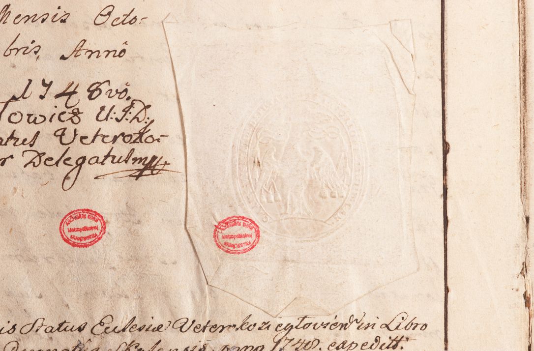 Zdjęcie nr 239 dla obiektu archiwalnego: Status ecclesiarum seu acta visitationis decanatuum Novi Montis et Bythomiensis in Polonia sub auspiciis Fel. regimine Cel. Principis R.D. Andrea Stanislai Kostka comitis in Załuskie Załuski, episcopi Cracoviensis, ducis Severiae, equitis Aquilae Albae, anno quo intra (1747 et 1748) conscripta