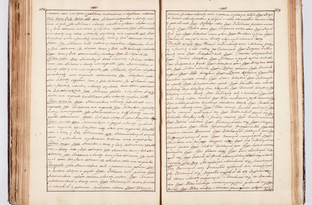 Zdjęcie nr 199 dla obiektu archiwalnego: Status ecclesiarum seu acta visitationis decanatuum Novi Montis et Bythomiensis in Polonia sub auspiciis Fel. regimine Cel. Principis R.D. Andrea Stanislai Kostka comitis in Załuskie Załuski, episcopi Cracoviensis, ducis Severiae, equitis Aquilae Albae, anno quo intra (1747 et 1748) conscripta