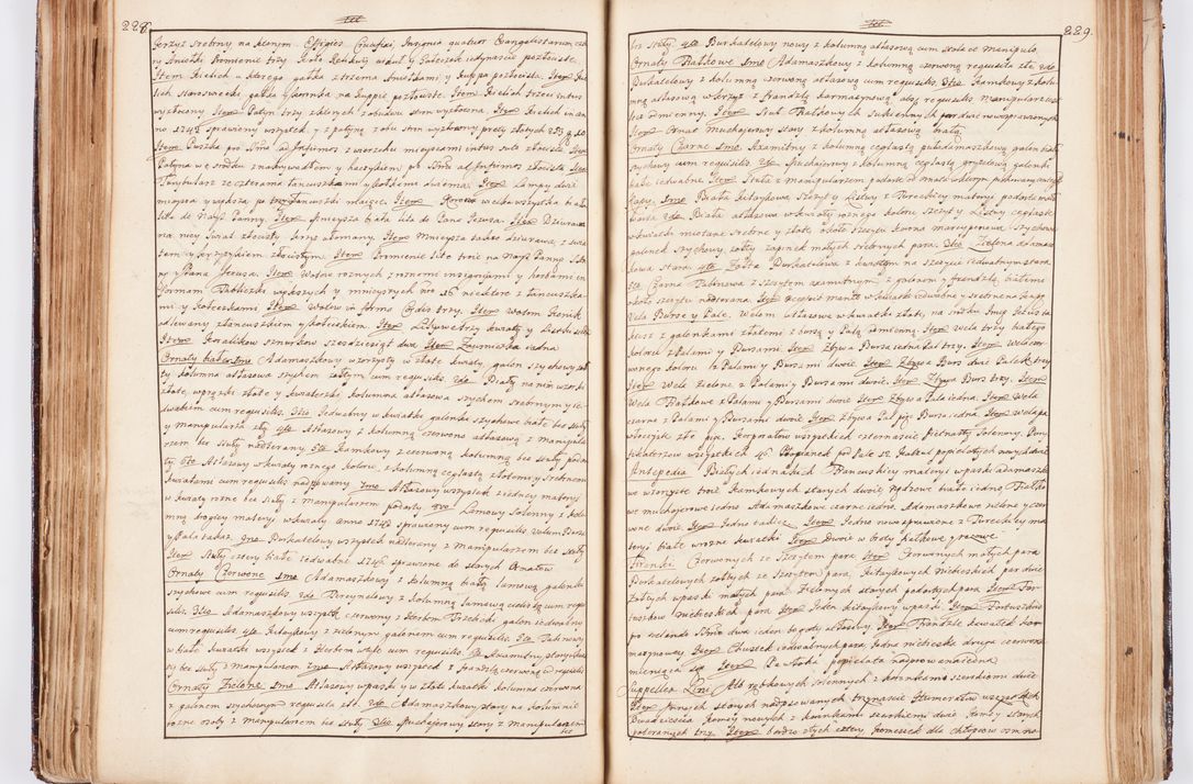 Zdjęcie nr 133 dla obiektu archiwalnego: Status ecclesiarum seu acta visitationis decanatuum Novi Montis et Bythomiensis in Polonia sub auspiciis Fel. regimine Cel. Principis R.D. Andrea Stanislai Kostka comitis in Załuskie Załuski, episcopi Cracoviensis, ducis Severiae, equitis Aquilae Albae, anno quo intra (1747 et 1748) conscripta