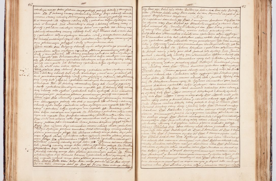 Zdjęcie nr 60 dla obiektu archiwalnego: Status ecclesiarum seu acta visitationis decanatuum Novi Montis et Bythomiensis in Polonia sub auspiciis Fel. regimine Cel. Principis R.D. Andrea Stanislai Kostka comitis in Załuskie Załuski, episcopi Cracoviensis, ducis Severiae, equitis Aquilae Albae, anno quo intra (1747 et 1748) conscripta