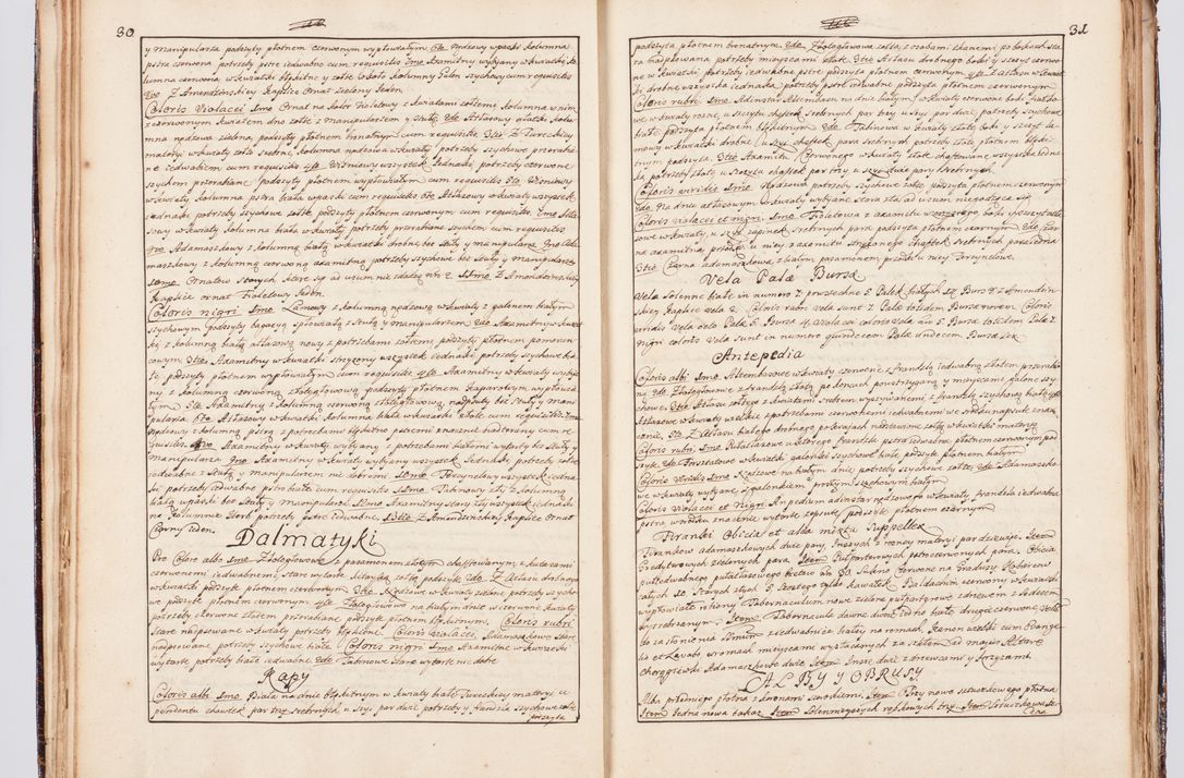 Zdjęcie nr 29 dla obiektu archiwalnego: Status ecclesiarum seu acta visitationis decanatuum Novi Montis et Bythomiensis in Polonia sub auspiciis Fel. regimine Cel. Principis R.D. Andrea Stanislai Kostka comitis in Załuskie Załuski, episcopi Cracoviensis, ducis Severiae, equitis Aquilae Albae, anno quo intra (1747 et 1748) conscripta