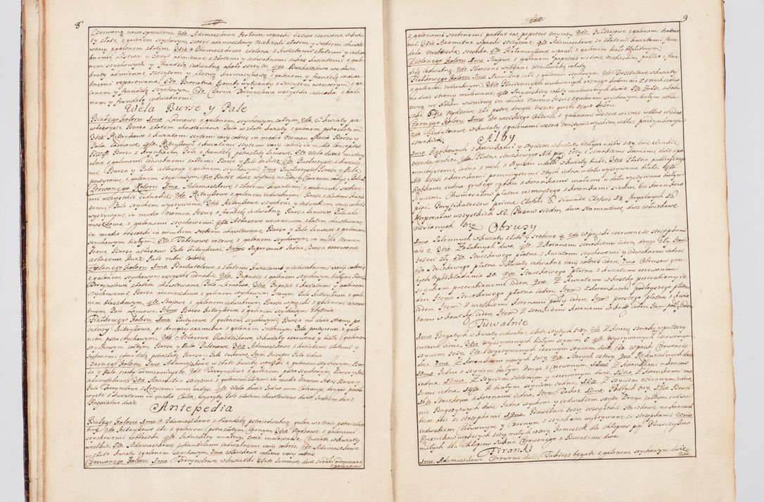 Zdjęcie nr 17 dla obiektu archiwalnego: Status ecclesiarum seu acta visitationis decanatuum Novi Montis et Bythomiensis in Polonia sub auspiciis Fel. regimine Cel. Principis R.D. Andrea Stanislai Kostka comitis in Załuskie Załuski, episcopi Cracoviensis, ducis Severiae, equitis Aquilae Albae, anno quo intra (1747 et 1748) conscripta