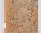 Zdjęcie nr 3 dla obiektu archiwalnego: Summarium seu descriptio status ecclesiarum et parochorum eorundem in decanatu Żywiecensi consistentium ex speciali mandato Cel. Principis R.D. Andrea Stanislai Kostka In Załuskie Załuski, episcopi Cracoviensis, ducis Severiae, per me Antonium Franciscum de Brzesie Lanckoroński, canoncium Gnesnensem, praepositum Oswiencimensem a.D. 1748 visitatarum hoc volumine comprehensum
