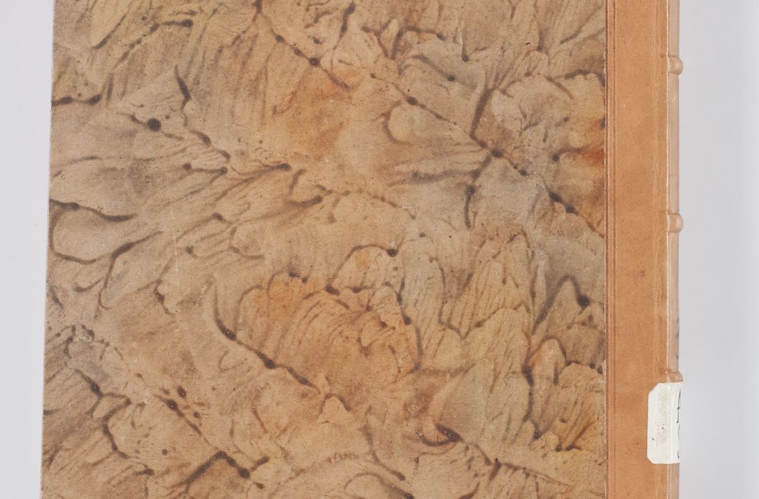 Zdjęcie nr 4 dla obiektu archiwalnego: Summarium seu descriptio status ecclesiarum et parochorum eorundem in decanatu Żywiecensi consistentium ex speciali mandato Cel. Principis R.D. Andrea Stanislai Kostka In Załuskie Załuski, episcopi Cracoviensis, ducis Severiae, per me Antonium Franciscum de Brzesie Lanckoroński, canoncium Gnesnensem, praepositum Oswiencimensem a.D. 1748 visitatarum hoc volumine comprehensum