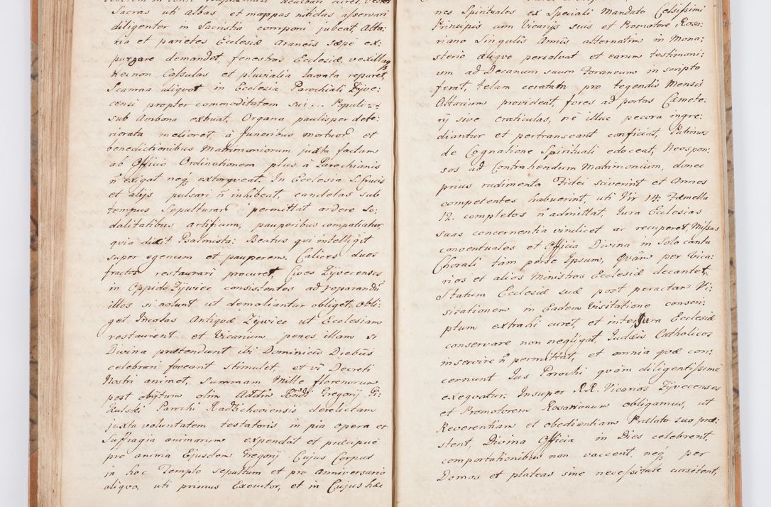 Zdjęcie nr 100 dla obiektu archiwalnego: Summarium seu descriptio status ecclesiarum et parochorum eorundem in decanatu Żywiecensi consistentium ex speciali mandato Cel. Principis R.D. Andrea Stanislai Kostka In Załuskie Załuski, episcopi Cracoviensis, ducis Severiae, per me Antonium Franciscum de Brzesie Lanckoroński, canoncium Gnesnensem, praepositum Oswiencimensem a.D. 1748 visitatarum hoc volumine comprehensum