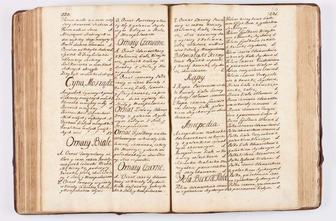 Zdjęcie nr 255 dla obiektu archiwalnego: Visitatio ecclesiarum parochialium, praebendarum, capellarum, hospitalium atque confraternitatum, nec non beneficiorum in decanatibus Oswiecimensis et Zathoriensis, archidiaconatus et officialatus Cracoviensis existentium per R.D. Franciscum Lanckoroński, canonicum cathedralem Cracoviensem, visitatorem delegatum a.D. 1747 et 1748 expedita