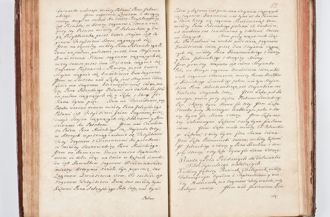 Zdjęcie nr 99 dla obiektu archiwalnego: Visitatio ecclesiarum parachialium, praebendarum, capellarum, hospitalium atque confraternitatum, nec non beneficiorum in decanatu Scaviensi foraneo, dioecesis, archidiaconatus et officialatus Cracoviensis consistentiu, ex speciali mandato Cel. Principis R.D. Andreae Stanislai Kostka in Załuskie Załuski, episcopi Cracoviensis canonicum, parochialis s. Nicolai ad Cracowiam praepositum, delegatum extraordinarium visitatorem a.D. 1748 
