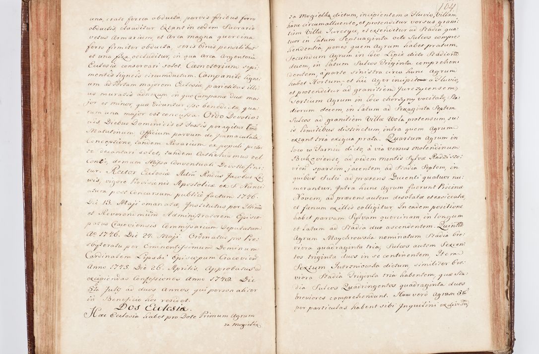 Zdjęcie nr 117 dla obiektu archiwalnego: Visitatio ecclesiarum parachialium, praebendarum, capellarum, hospitalium atque confraternitatum, nec non beneficiorum in decanatu Scaviensi foraneo, dioecesis, archidiaconatus et officialatus Cracoviensis consistentiu, ex speciali mandato Cel. Principis R.D. Andreae Stanislai Kostka in Załuskie Załuski, episcopi Cracoviensis canonicum, parochialis s. Nicolai ad Cracowiam praepositum, delegatum extraordinarium visitatorem a.D. 1748 