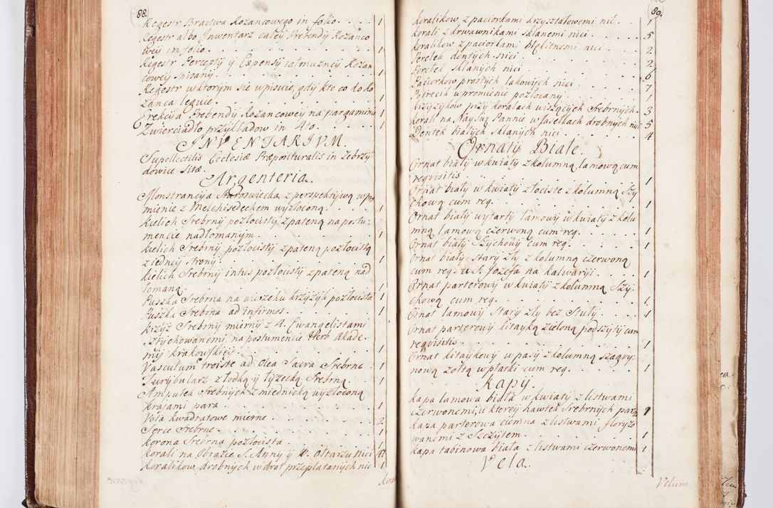 Zdjęcie nr 197 dla obiektu archiwalnego: Visitatio ecclesiarum parachialium, praebendarum, capellarum, hospitalium atque confraternitatum, nec non beneficiorum in decanatu Scaviensi foraneo, dioecesis, archidiaconatus et officialatus Cracoviensis consistentiu, ex speciali mandato Cel. Principis R.D. Andreae Stanislai Kostka in Załuskie Załuski, episcopi Cracoviensis canonicum, parochialis s. Nicolai ad Cracowiam praepositum, delegatum extraordinarium visitatorem a.D. 1748 