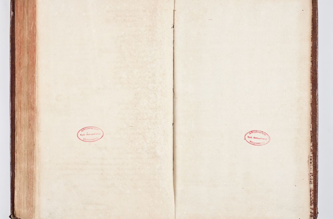 Zdjęcie nr 241 dla obiektu archiwalnego: Visitatio ecclesiarum parachialium, praebendarum, capellarum, hospitalium atque confraternitatum, nec non beneficiorum in decanatu Scaviensi foraneo, dioecesis, archidiaconatus et officialatus Cracoviensis consistentiu, ex speciali mandato Cel. Principis R.D. Andreae Stanislai Kostka in Załuskie Załuski, episcopi Cracoviensis canonicum, parochialis s. Nicolai ad Cracowiam praepositum, delegatum extraordinarium visitatorem a.D. 1748 