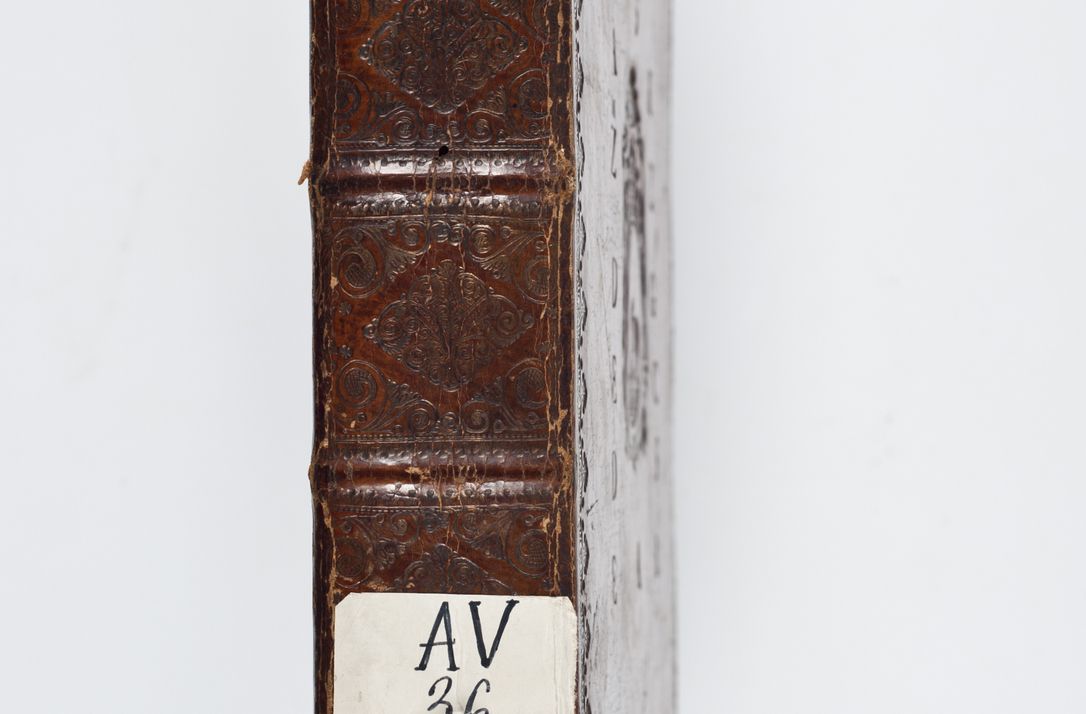 Zdjęcie nr 5 dla obiektu archiwalnego: Visitatio ecclesiarum parachialium, praebendarum, capellarum, hospitalium atque confraternitatum, nec non beneficiorum in decanatu Scaviensi foraneo, dioecesis, archidiaconatus et officialatus Cracoviensis consistentiu, ex speciali mandato Cel. Principis R.D. Andreae Stanislai Kostka in Załuskie Załuski, episcopi Cracoviensis canonicum, parochialis s. Nicolai ad Cracowiam praepositum, delegatum extraordinarium visitatorem a.D. 1748 