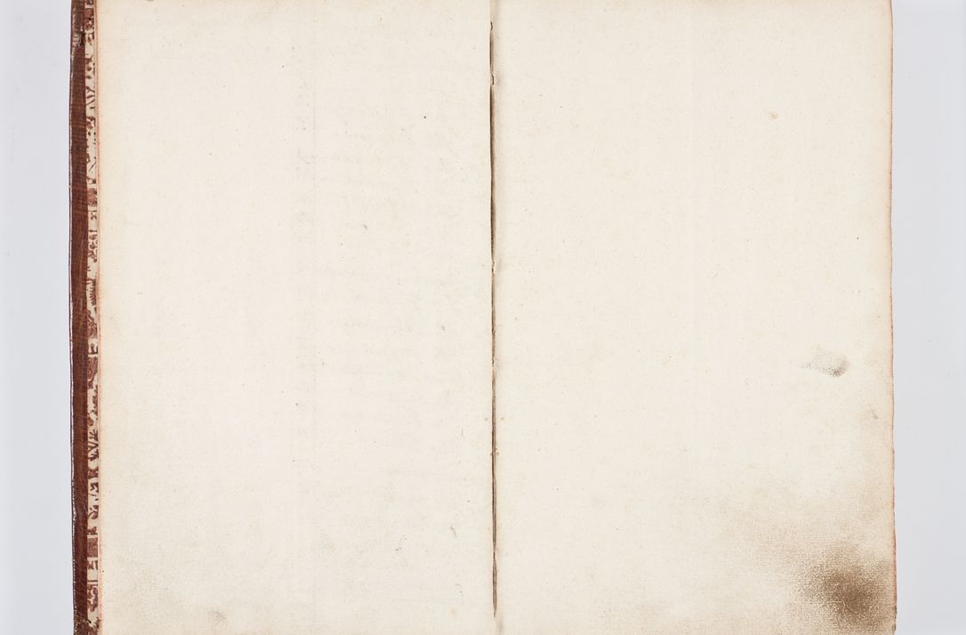 Zdjęcie nr 8 dla obiektu archiwalnego: Visitatio ecclesiarum parachialium, praebendarum, capellarum, hospitalium atque confraternitatum, nec non beneficiorum in decanatu Scaviensi foraneo, dioecesis, archidiaconatus et officialatus Cracoviensis consistentiu, ex speciali mandato Cel. Principis R.D. Andreae Stanislai Kostka in Załuskie Załuski, episcopi Cracoviensis canonicum, parochialis s. Nicolai ad Cracowiam praepositum, delegatum extraordinarium visitatorem a.D. 1748 