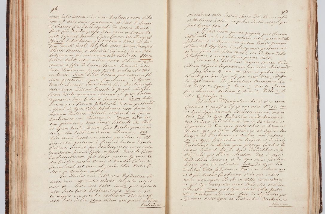 Zdjęcie nr 62 dla obiektu archiwalnego: Acta visitationis ecclesiarum in decanatu Sokolinensi et Kijensi ex commissione Cel. Principis R.D. Andrea Stanislai Kostka comitis in Załuskie Załuski, episcopi Cracoviensis, ducis Severiae, per Josephum Carolum Bleszyński, ecclesiarum cathedralis Cracoviensis et Insignis Collegiatae Sandomiriensis canonicum, expeditae diebus mensium Januarii et Februarii et Martii 1748 anno