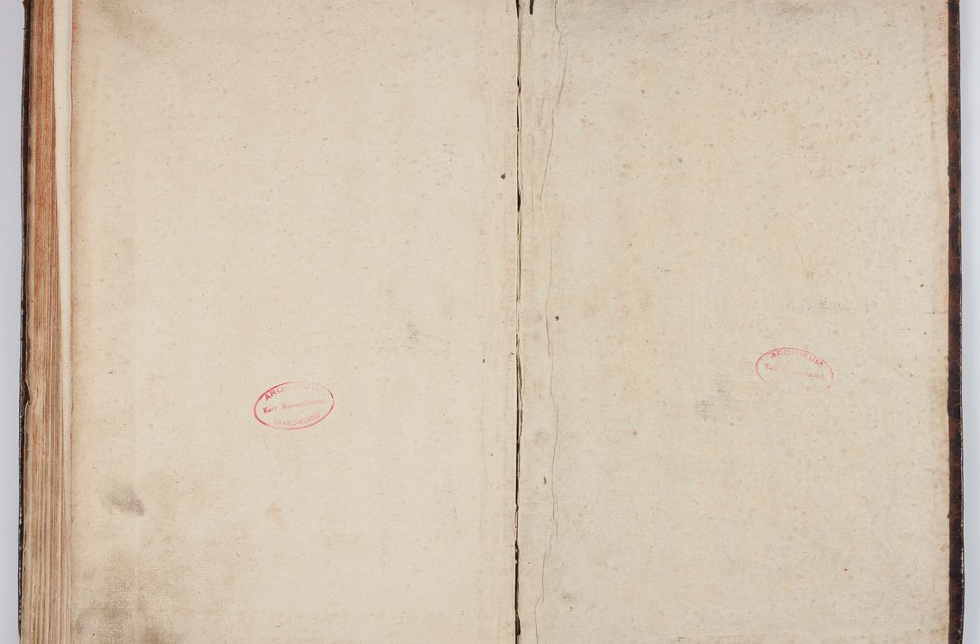 Zdjęcie nr 142 dla obiektu archiwalnego: Acta visitationis ecclesiarum in decanatu Wielicensi ex commissione Cel. Principis R.D. Andrea Stanislai Kostka comitis in Załuskie Załuski, episcopi Cracoviensis, ducis Severiae, per Franciscum Skarbek Borowski, canonicum cathedralem Cracoviensem, expeditae mense Septembri a.D. 1748