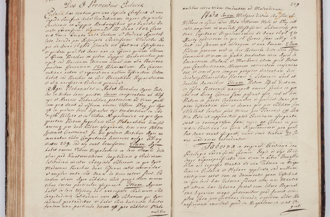 Zdjęcie nr 132 dla obiektu archiwalnego: Acta visitationis ecclesiarum in decanatu Wielicensi ex commissione Cel. Principis R.D. Andrea Stanislai Kostka comitis in Załuskie Załuski, episcopi Cracoviensis, ducis Severiae, per Franciscum Skarbek Borowski, canonicum cathedralem Cracoviensem, expeditae mense Septembri a.D. 1748