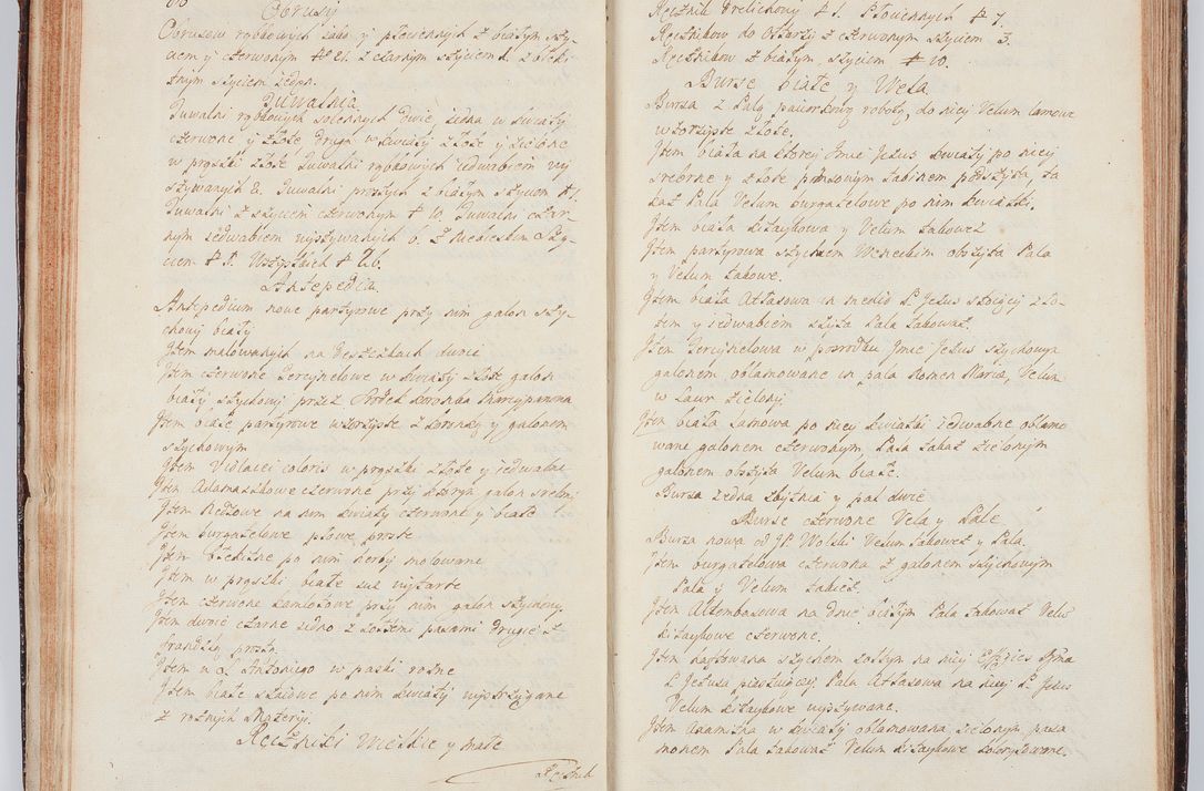 Zdjęcie nr 55 dla obiektu archiwalnego: Acta visitationis ecclesiarum in decanatu Wielicensi ex commissione Cel. Principis R.D. Andrea Stanislai Kostka comitis in Załuskie Załuski, episcopi Cracoviensis, ducis Severiae, per Franciscum Skarbek Borowski, canonicum cathedralem Cracoviensem, expeditae mense Septembri a.D. 1748