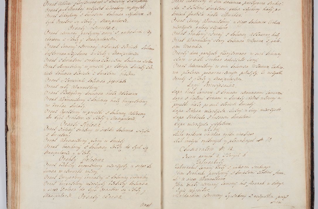 Zdjęcie nr 54 dla obiektu archiwalnego: Acta visitationis ecclesiarum in decanatu Wielicensi ex commissione Cel. Principis R.D. Andrea Stanislai Kostka comitis in Załuskie Załuski, episcopi Cracoviensis, ducis Severiae, per Franciscum Skarbek Borowski, canonicum cathedralem Cracoviensem, expeditae mense Septembri a.D. 1748