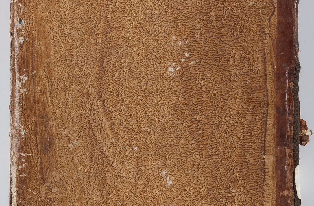 Zdjęcie nr 4 dla obiektu archiwalnego: Visitatio in archidiaconatu Lublinensi duorum decanatuum, nempe: Casimiriensis et Solecensis sub auspiciis Cel. Principis R.D. Andreae Stanislai Kostka in Załuskie Załuski, episcopi Cracoviensis, ducis Severiae, per me Casimirium Josephum Dziewulski, cantorem Collegiatae Opatoviensis, praepositum Wislicensem, parochum Chmieloviensem, decanum Sochaczoviensem a.D. 1748 expedita