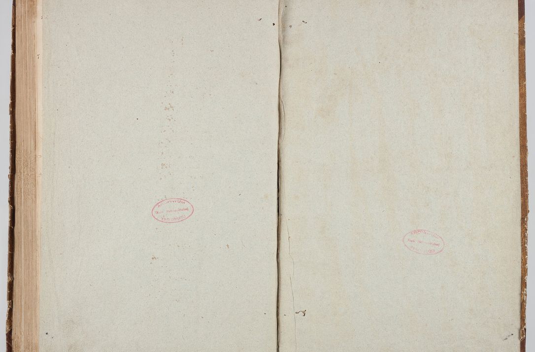 Zdjęcie nr 175 dla obiektu archiwalnego: Visitatio in archidiaconatu Lublinensi duorum decanatuum, nempe: Casimiriensis et Solecensis sub auspiciis Cel. Principis R.D. Andreae Stanislai Kostka in Załuskie Załuski, episcopi Cracoviensis, ducis Severiae, per me Casimirium Josephum Dziewulski, cantorem Collegiatae Opatoviensis, praepositum Wislicensem, parochum Chmieloviensem, decanum Sochaczoviensem a.D. 1748 expedita