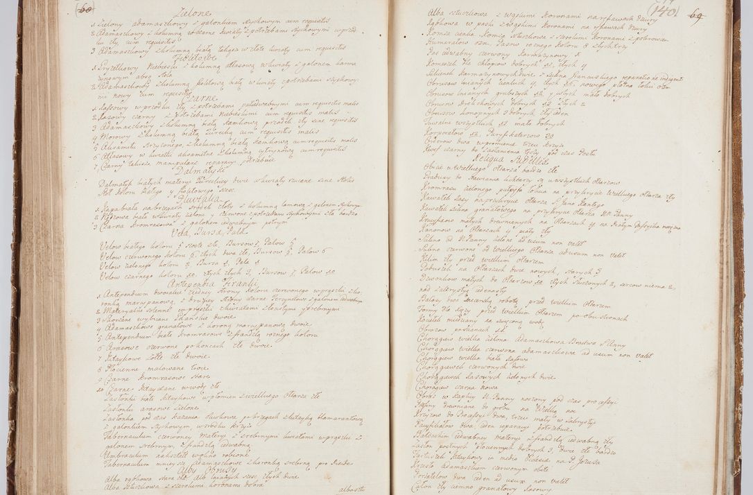 Zdjęcie nr 158 dla obiektu archiwalnego: Visitatio in archidiaconatu Lublinensi duorum decanatuum, nempe: Casimiriensis et Solecensis sub auspiciis Cel. Principis R.D. Andreae Stanislai Kostka in Załuskie Załuski, episcopi Cracoviensis, ducis Severiae, per me Casimirium Josephum Dziewulski, cantorem Collegiatae Opatoviensis, praepositum Wislicensem, parochum Chmieloviensem, decanum Sochaczoviensem a.D. 1748 expedita