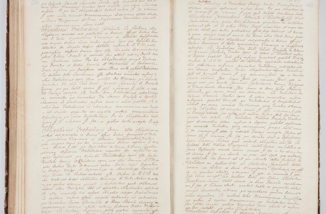 Zdjęcie nr 103 dla obiektu archiwalnego: Visitatio in archidiaconatu Lublinensi duorum decanatuum, nempe: Casimiriensis et Solecensis sub auspiciis Cel. Principis R.D. Andreae Stanislai Kostka in Załuskie Załuski, episcopi Cracoviensis, ducis Severiae, per me Casimirium Josephum Dziewulski, cantorem Collegiatae Opatoviensis, praepositum Wislicensem, parochum Chmieloviensem, decanum Sochaczoviensem a.D. 1748 expedita