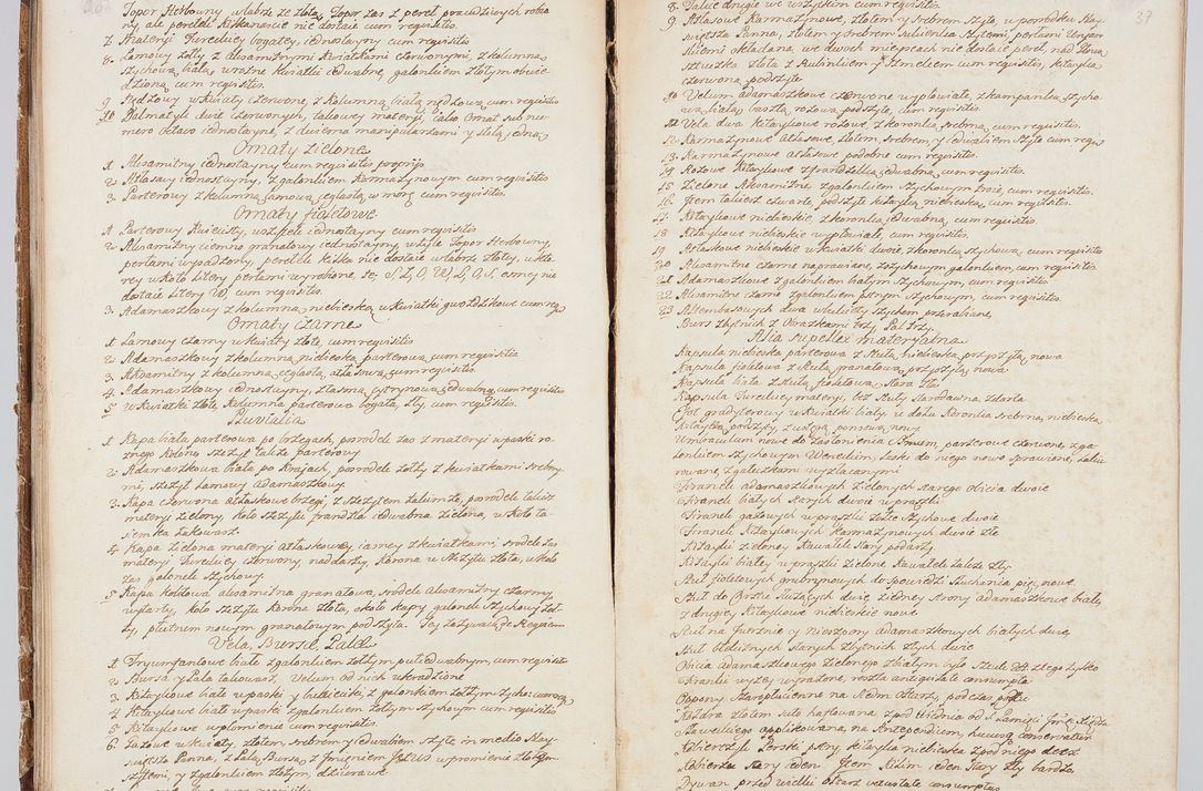 Zdjęcie nr 29 dla obiektu archiwalnego: Visitatio in archidiaconatu Lublinensi duorum decanatuum, nempe: Casimiriensis et Solecensis sub auspiciis Cel. Principis R.D. Andreae Stanislai Kostka in Załuskie Załuski, episcopi Cracoviensis, ducis Severiae, per me Casimirium Josephum Dziewulski, cantorem Collegiatae Opatoviensis, praepositum Wislicensem, parochum Chmieloviensem, decanum Sochaczoviensem a.D. 1748 expedita