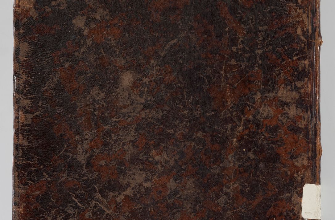 Zdjęcie nr 4 dla obiektu archiwalnego: Visitatio decanatus Neoforiensis per R.D. Jacobum Zaskalski, Sacra suthoritate Apostolica publicum notarium, in Maniowy parochum, decanum Neoforiensem in anno 1765 die 30 Januarii inchoata, ex post sequentibus diebus et mensibus expedita, R.D. Francisco de Potkana Potkański, episcopo Patarensi, suffraganeo, canonico, vicario in spiritualibus et officiali generali Cracoviensi dedicata et devota