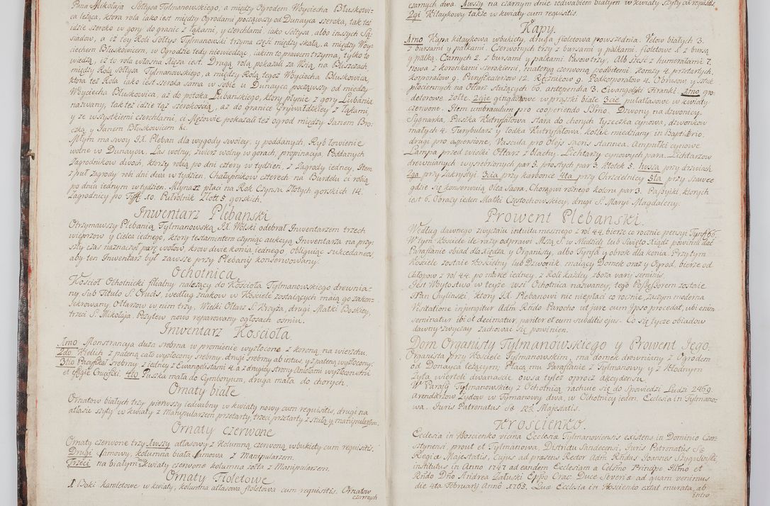 Zdjęcie nr 11 dla obiektu archiwalnego: Visitatio decanatus Neoforiensis per R.D. Jacobum Zaskalski, Sacra suthoritate Apostolica publicum notarium, in Maniowy parochum, decanum Neoforiensem in anno 1765 die 30 Januarii inchoata, ex post sequentibus diebus et mensibus expedita, R.D. Francisco de Potkana Potkański, episcopo Patarensi, suffraganeo, canonico, vicario in spiritualibus et officiali generali Cracoviensi dedicata et devota
