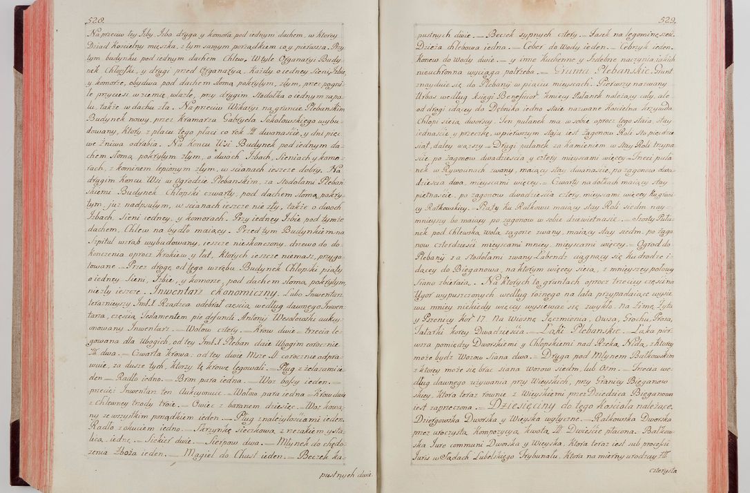 Zdjęcie nr 287 dla obiektu archiwalnego: Akta wizyty pod rządem dyecezyą J.O. Michała Jerzego Ciołka Xsiążęcia Poniatowskiego, biskupa płockiego, księcia pułtuskiego, koadiutora z całą jurysdykcją krakowksiego, xiążęcia siewierskiego, opata kommendataryusza czerwińskiego, dziekana warszawskiego, orderów Orła Białego i Świętego Stanisława kawalera, trzech dekanatów: proszowickiego, xiążnickiego i andrzejewskiego przez W.IMC.X Jacka Kochańskiego, kanonika sandomierskiego, plebana trojeckiego w roku 1783 odprawioney wypisane